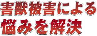 害獣被害による悩みを解決